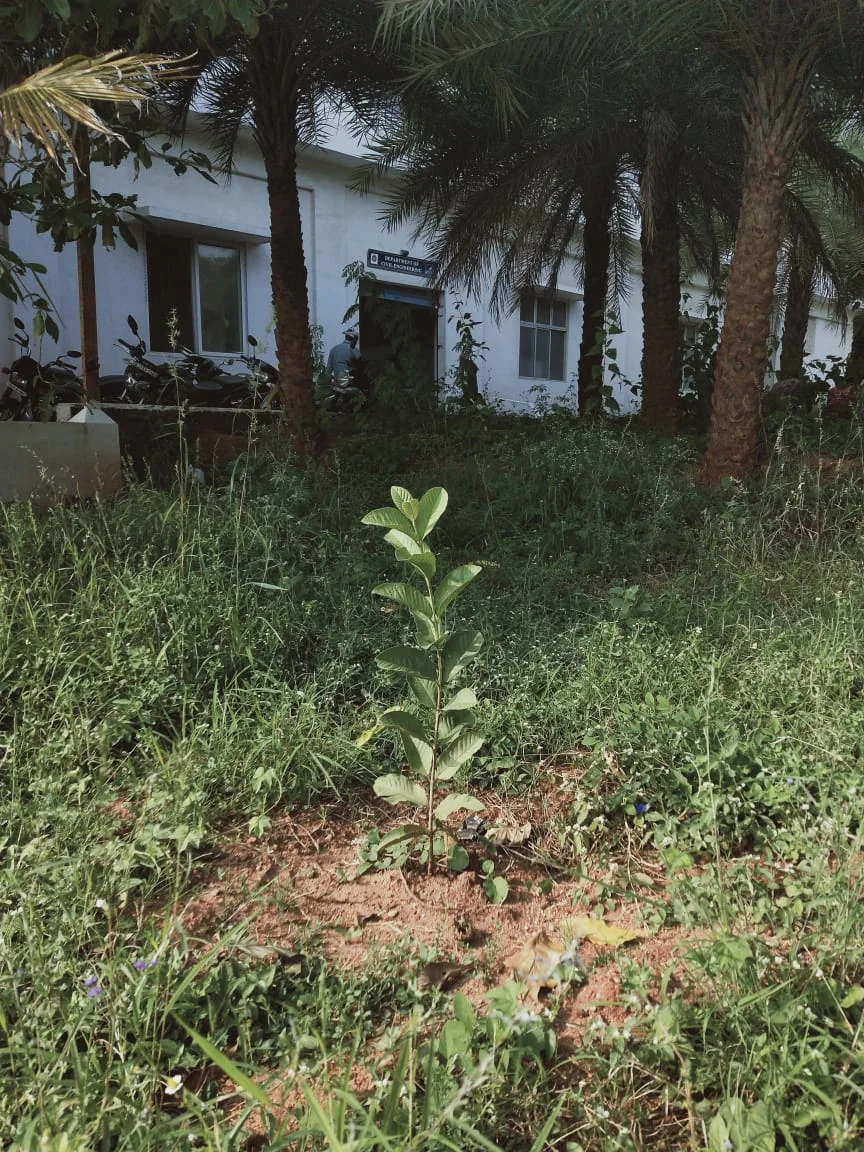 Plantation ceremony under Ecoclub by our Alumni on November 03rd , 2023 — photo 1
