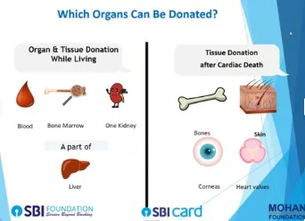 World Organ Donation Day — photo 2