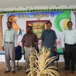 Onam Celebrations 2011 — photo 8