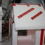 Science Exhibition-EKSPOZIO’12 — photo 15