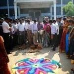 Celebration of Pongal Festival — photo 9