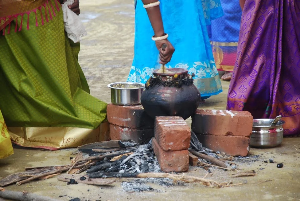 Pongal Celebrations 2019 Organized by Jct Polytechnic College on 11th January 2019 — photo 15